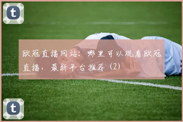 欧冠直播网站：哪里可以观看欧冠直播，最新平台推荐 (2)