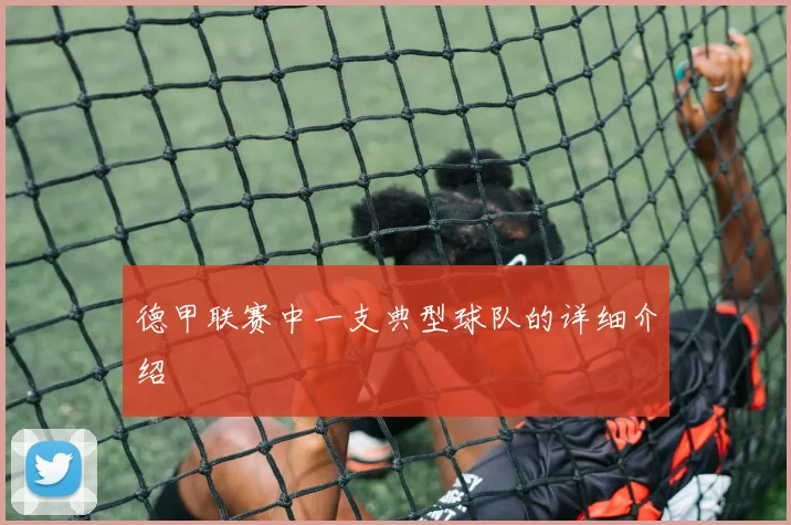 德甲联赛中一支典型球队的详细介绍