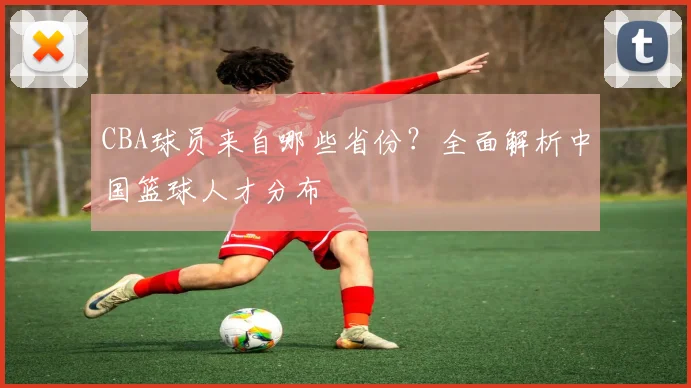 CBA球员来自哪些省份？全面解析中国篮球人才分布